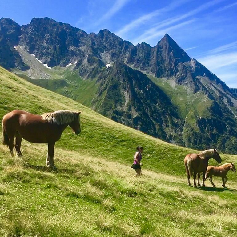 Trail Hospice de France