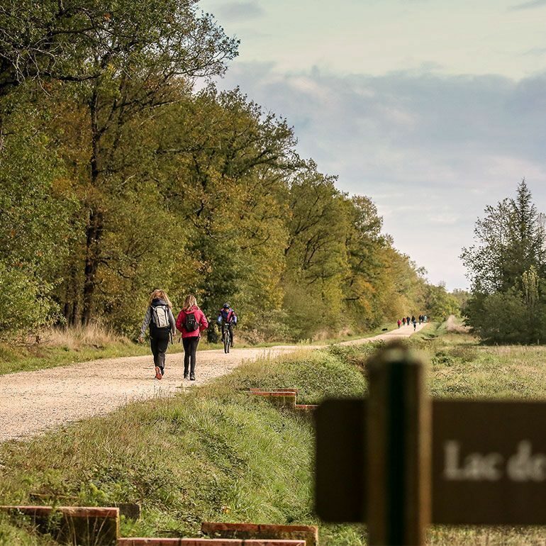 Forêt de Bouconne