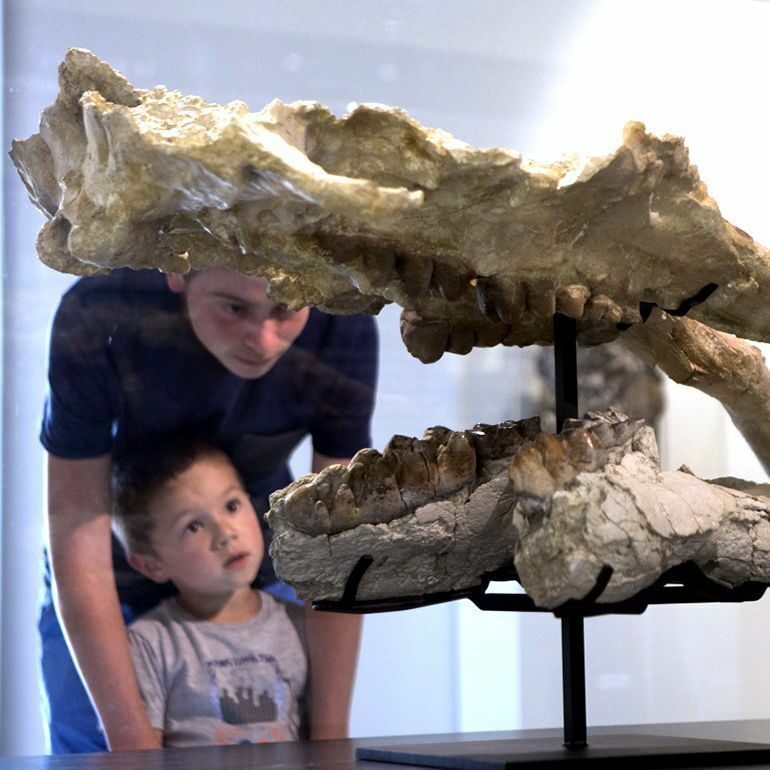 Aurignac- En famille