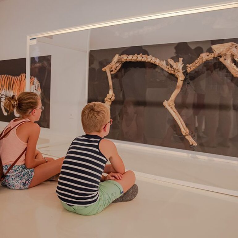 Le musée de l'Aurignacien