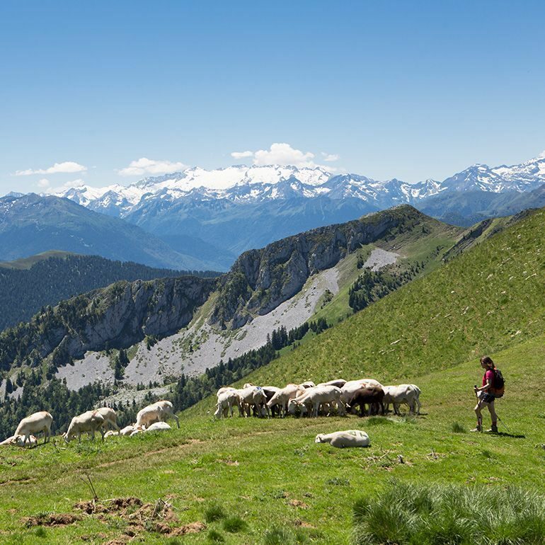 Escapade dans les Pyrénées