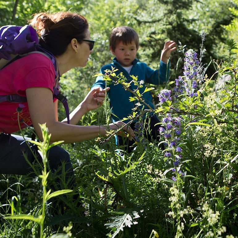 Escapade dans les Pyrénées