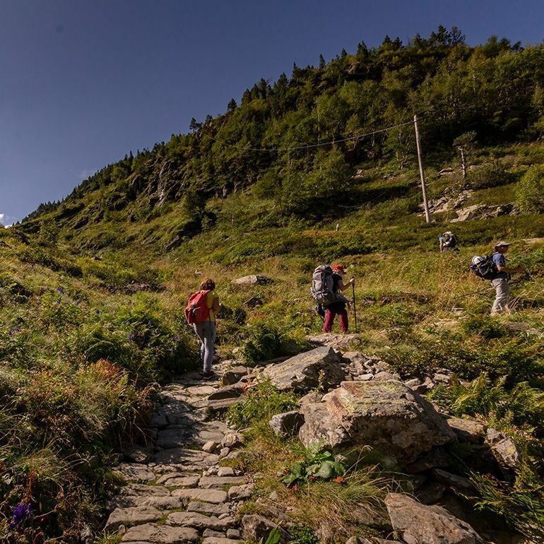 Escapade dans les Pyrénées