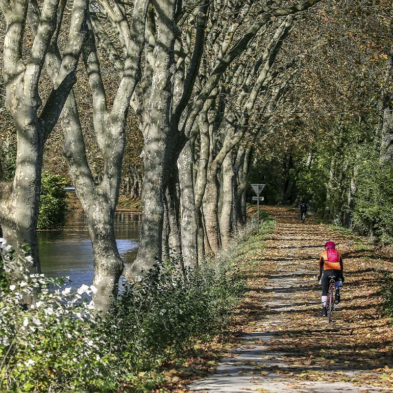 CANAL DU MIDI ©Scheiber