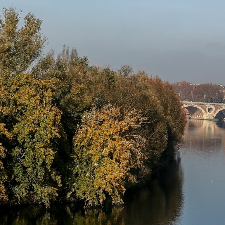 Toulouse en automne
