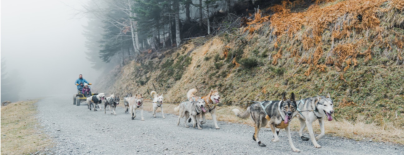 Crocs et Cornes-Orane Benoit-Boudu