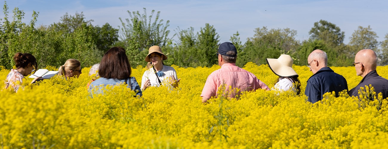 A l'heure bleue-Boudu-Rémi Benoit-Boudu