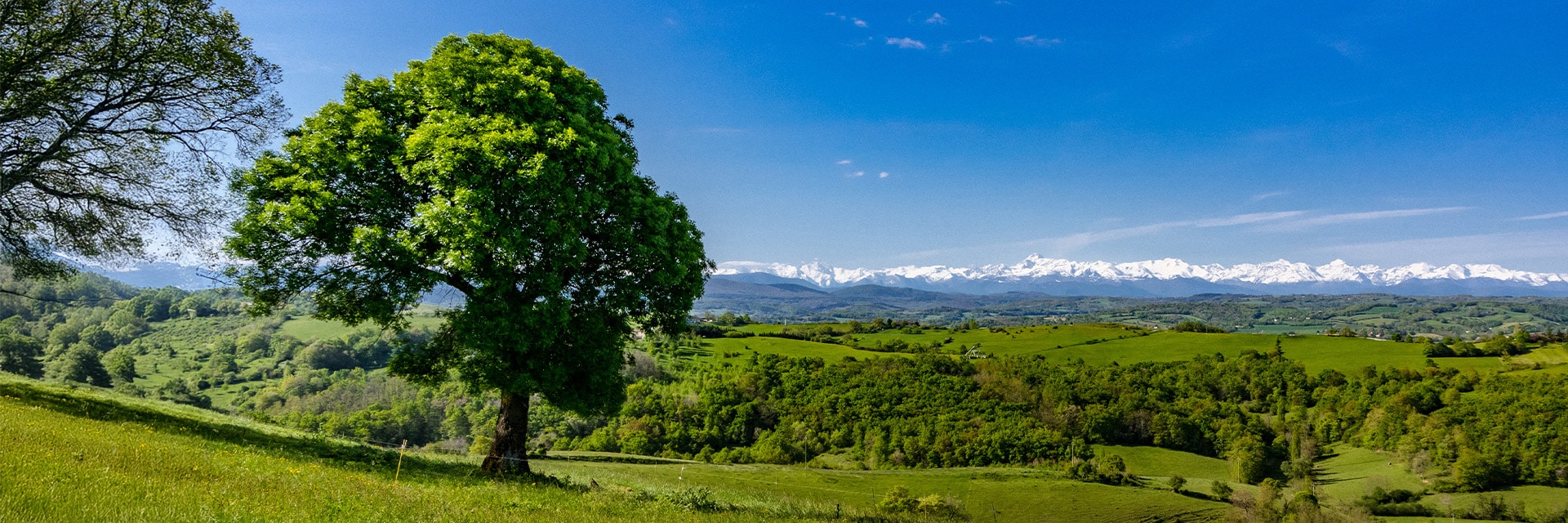 Grandeur Nature-Vue de Latour